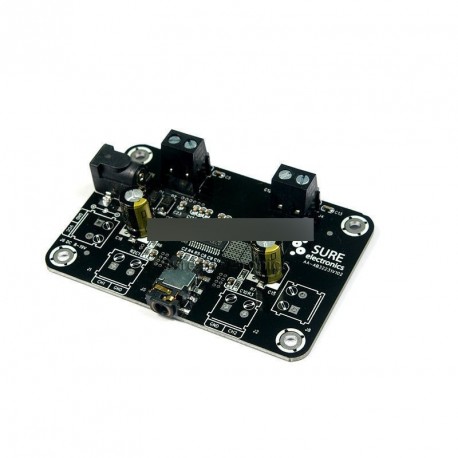 2 X 8Watt Class D Audio erősítő panel - TPA3110 2W