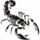 30cm aranyos 3D Scorpion autós matrica Vinyl decal matrica autó dekoráció