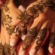 Ideiglenes Tetoválás - vízálló matrica - unisex - Henna szerű mintával - 2-es verzió
