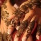 Henna paszta természetes gyógynövényekből - 10 féle színben - 1-es verzió