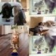 Lila -