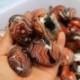 1db természetes agát sziklák csiszolt kő mintadarabok kézműves véletlenszerű 2-3cm