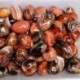 1db természetes agát sziklák csiszolt kő mintadarabok kézműves véletlenszerű 2-3cm