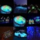 Sárga 10g fény a sötét akril fényes por világos pigment graffiti fél DIY