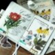 * 7 60db címke napló papír matrica Scrapbooking növények Virág matricák Telefon dekoráció
