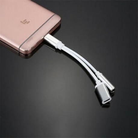 * Ezüst USB-C-tól 3,5 mm-ig és töltő 2 in1 fejhallgató audio jack töltőkábel adapter