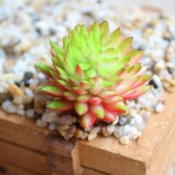 7 * Szimuláció Mini műanyag miniatűr pozsgás növények Otthoni kert Iroda dekoráció