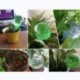 Nagy átlátszó 1X automata öntözőkészülék öntözőberendezése Háztartási növény Pot Garden Bulb eszközök