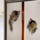 1. minta Kivehető fali matricák Vinil aranyos 3D macska hálószoba WC otthoni falfestmény Art Decor