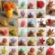 7 * Szimuláció Mini műanyag miniatűr pozsgás növények Kert Home Office Decor