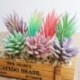 7 * Szimuláció Mini műanyag miniatűr pozsgás növények Kert Home Office Decor