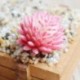 8 * Szimuláció Mini műanyag miniatűr pozsgás növények Kert Home Office Decor