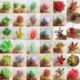 8 * Szimuláció Mini műanyag miniatűr pozsgás növények Kert Home Office Decor
