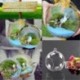 Ovális alakú 1 x átlátszó függő üvegbab labdák gyertya Tealight tartó fél esküvői dekoráció