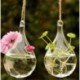 Csepp alakú Üveg lógó labda váza virág ültetvény pot terrárium konténer otthoni kert dekoráció
