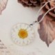 Kék Női divat átlátszó gyanta szárított virág Daisy medál nyaklánc Boho ékszerek