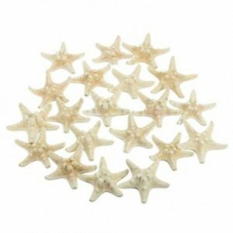 20db fehér, fehérített Knobby tengeri csillag esküvői kijelző Kagyló kézműves dekoráció D8F9