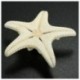 20db fehér, fehérített Knobby tengeri csillag esküvői megjelenítésű kagyló kézműves dekoráció J1S6