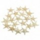 20db fehér, fehérített Knobby tengeri csillag esküvői megjelenítésű kagyló kézműves dekoráció A5U3
