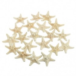 20db fehér, fehérített Knobby tengeri csillag esküvői megjelenítésű kagyló kézműves dekoráció A5U3