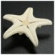 20db fehér, fehérített Knobby tengeri csillag esküvői megjelenítésű kagyló kézműves dekoráció A5U3