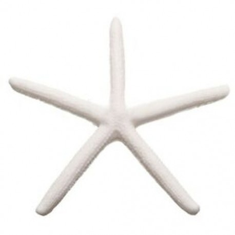 1X (12db 10-12cm gyönyörű fehér ujjú tengeri csillagos strand esküvői házak kézműves X2U2