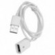 1X (1M-3ft 1M USB 2.0 A HÁLÓZAT - FEMALE hosszabbító kábel-hosszabbító a P C8F5-hez)