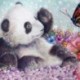 Diy Diamond Festmény &quot Állatok Szép Panda&quot  Hímzés Teljes Négyzetű Gyémánt V1A3
