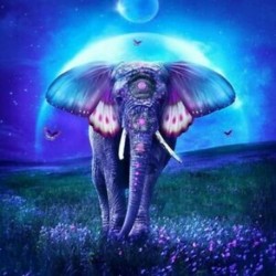 5D Diy gyémántfestmény, színes elefánt, teljes kerek gyémánt hímzés Cro S2K8