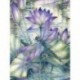 5D Diy gyémántfestmény, teljes fúrással készült hímzéssel festett kép art art W2R0 falra