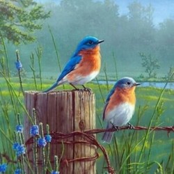 Gyémánt hímzési tájkép 5D Diy gyémántfestmény keresztszemes öltés Blu K3D3