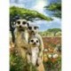 1X (5D DIY gyémántfestés, teljes körű fúró &quot Meerkat Family&quot  3D hímzés U1X2