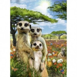 1X (5D DIY gyémántfestés, teljes körű fúró &quot Meerkat Family&quot  3D hímzés U1X2