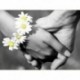 5D Diy Diamond Painting hímzés Diamond Picture, Diamond Mosaic, Decoratio Y6A8