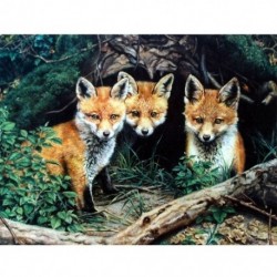 Gyémántfestés állati képek strasszos gyémánt hímzéssel eladó Fox D2M5