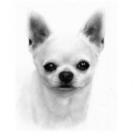 Gyémánt hímzés Chihuahua Kutya 5D Diy Gyémántfestés Állati gyémánt kép W8D6