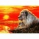 2X (Teljes körű fúró gyémánt hímzés naplemente Lion 5D DIY gyémántfestés O9T7