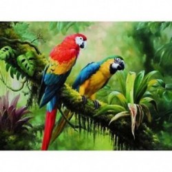 2X (5D gyémánt hímzéses állati papagáj kereszt keresztszemes diy gyémántfestmény Fu F4G7