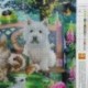2X (30 * 40 cm-es DIY 5D állati gyémántfestés macska kutya nyúl mintázatú gyémánt N5C6