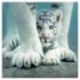 5X (5D gyémánt hímzés fehér tigris keresztszemes öltöztetős diy gyémántfestés föld Z6U4