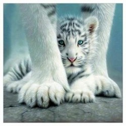 5X (5D gyémánt hímzés fehér tigris keresztszemes öltöztetős diy gyémántfestés föld Z6U4