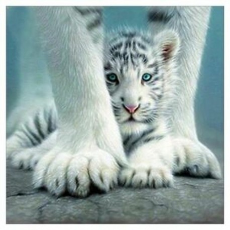 5X (5D gyémánt hímzés fehér tigris keresztszemes öltöztetős diy gyémántfestés föld Z6U4