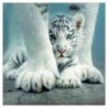 5X (5D gyémánt hímzés fehér tigris keresztszemes öltöztetős diy gyémántfestés föld Z6U4