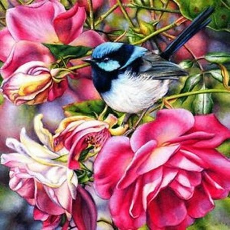9X (5D Diy Diamond Painting Bird Full Display Diamond Hímzett Képek I3I7-ből