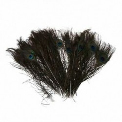 1X (50db természetes páva farok toll (nagy szemű), kb. 26-30 cm O7O3)