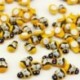 100 db lakberendezés Mini Bee katicabogár fa szivacs öntapadós falimatrica B1S3