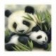 2X (DIY 5D gyémántfestmény hímzés Két Panda Embrace keresztszemes szerszám S Z3H3