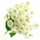 2 db Muguet csokor Művirágok Növények Házassági Iroda Home Decorat S8G6