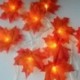 1M 10 LED húros juharlevelek tündérfüzérhúró-lámpatestekkel működtetve M2W4