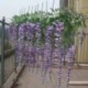 kék - 5X (mesterséges virág Wisteria hosszú 110cm Tofu puding hamis fa rattan Wedd I5B0